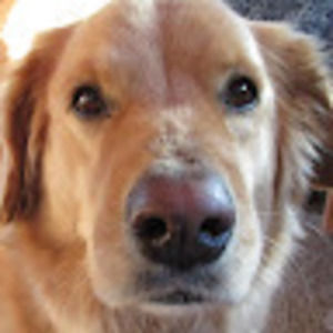 Meet your Posher, Isa